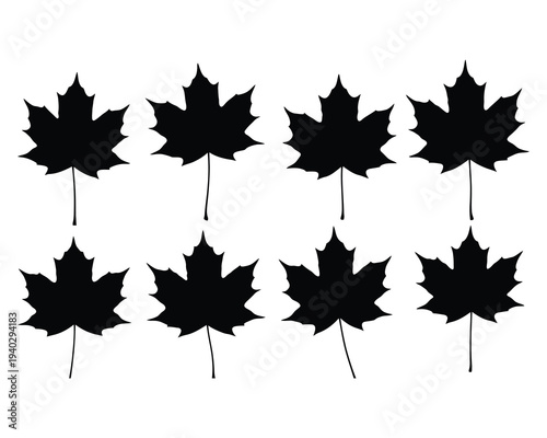 Collection of black maple leaves on white background