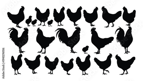 A group of chickens and roosters standing together