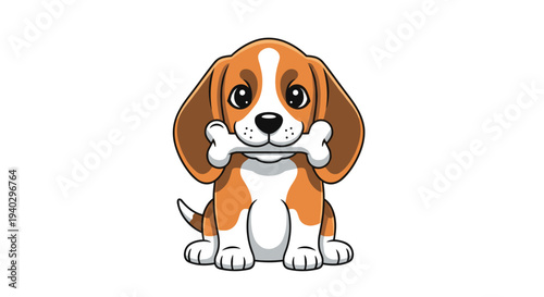 Cute beagle puppy dog with brown and white fur is sitting and holding a large white bone in its mouth against a white background.