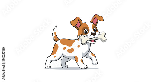Adorable brown and white spotted puppy walking happily while carrying a large white bone in its mouth against a plain white background.