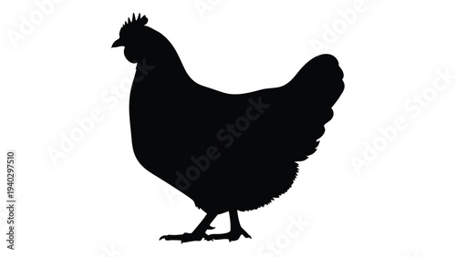 A black silhouette of a chicken standing on two legs