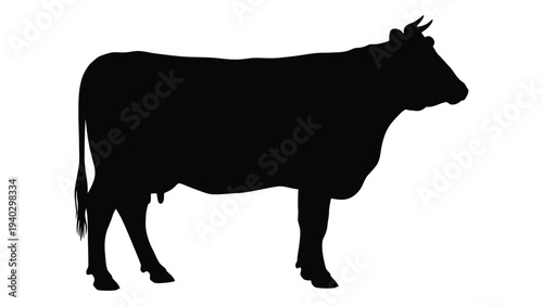 A black silhouette of a cow standing on a plain background