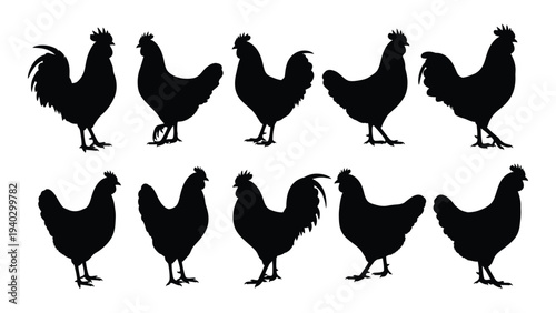 Black silhouettes of chickens and roosters