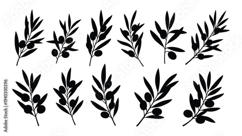 A collection of black olive branch silhouettes