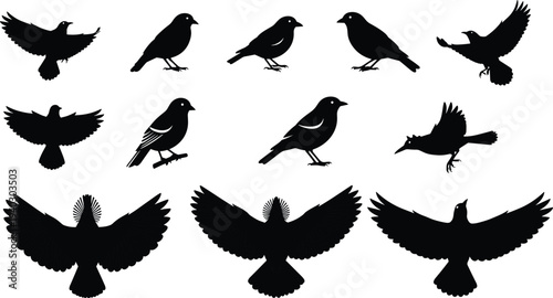 Bird silhouettes collection, flying and perched black crow raven pigeon isolated on white background vector set