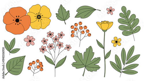 Diverse assortment of botanical elements featuring orange flowers green leaves and red berries for natural autumn designs.