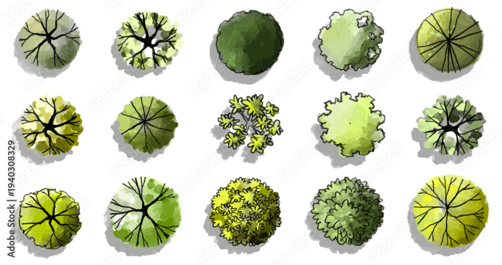 Fototapeta premium Vector set of Top view green tree for outdoor plan or map and architecture drawing, elements for environment and garden ,botanical elements ,Blooming flowers in spring,tropical plants element