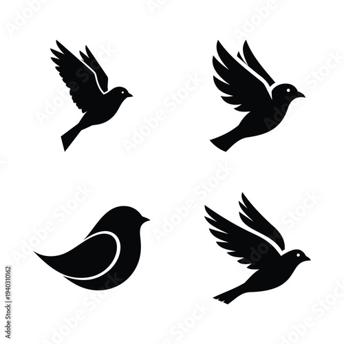 Set of 4 bird silhouettes, isolated on transparent and white background, vector