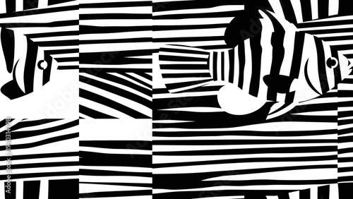 Wallpaper Mural Abstract Zebra Stripes Pattern, Optical Illusion, Black and White Geometric Design Torontodigital.ca