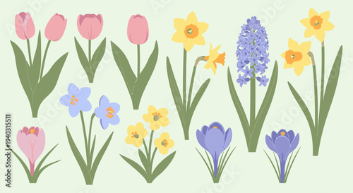 Vibrant flowers including tulips, daffodils, and hyacinths in full bloom, arranged in a delightful illustration