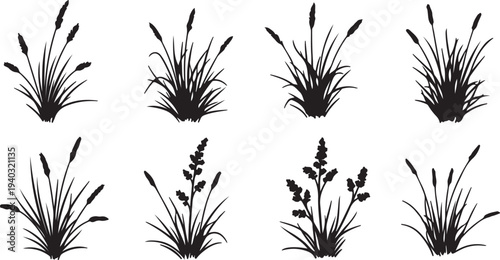 Collection of black silhouettes of wild grasses and reeds isolated on transparent background set vector illustration