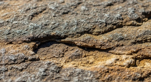Close-up of textured rough brown rocky surface showing natural formations and layers