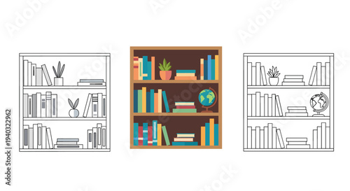 Three bookshelves with books, plants, and globes in line art and flat design styles
