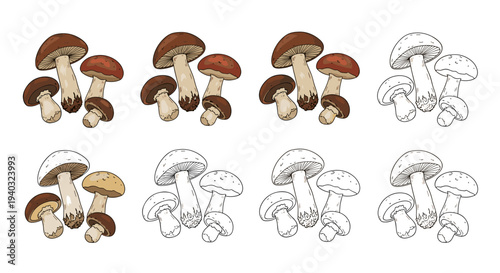 Collection of hand-drawn mushrooms in various styles, including colored and line art versions