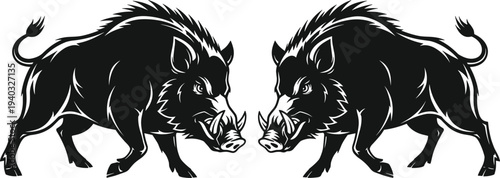 Set of two black and white aggressive wild boar illustrations with sharp tusks and bristly fur isolated on white background,