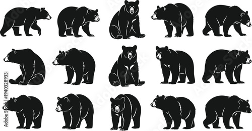 Black bear silhouette vector set, wild grizzly and black bear icons, walking sitting and standing poses isolated on white background,