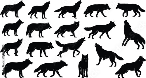 Tiger line art and silhouette vector set with tropical monstera leaves, jungle predator wildlife icons, exotic animal collection isolated on white,