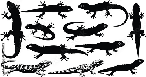 Lizard and gecko silhouette vector set, reptile species collection, exotic animal icons isolated on white background, black and white graphics,