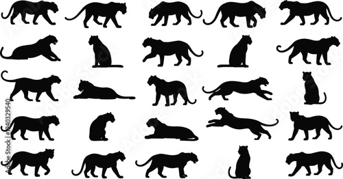 Black panther and wild cat silhouette vector set, walking jumping sitting predator icons, forest wildlife collection isolated on white background,