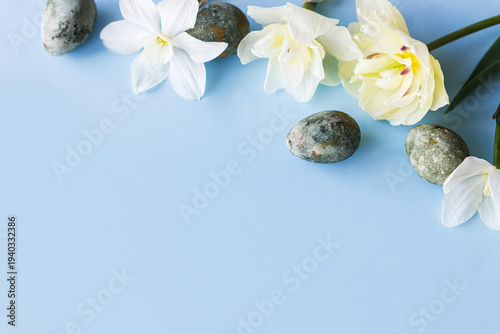Easter flat lay. Stylish easter eggs and yellow daffodils and tulip flowers on blue background. Easter celebration, season greetings mockup. Spring modern floral banner