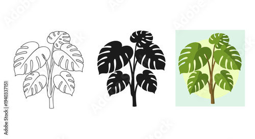 Monstera plant illustration in three styles: outline, silhouette, and color