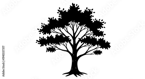 Silhouette of a deciduous tree with detailed branches and leaves against a white background