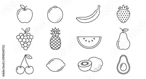 Collection of simple line art icons representing various fresh fruits on a white background