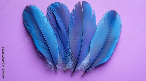 A vibrant arrangement of blue feathers on a purple background