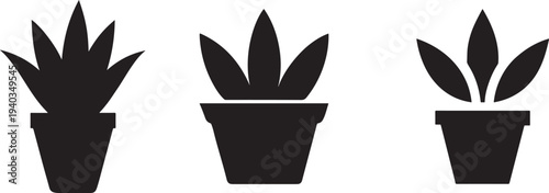 A minimalist graphic depicts three potted plants in black silhouette against a stark white background high quality professional detailed modern elegant