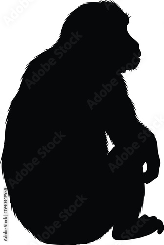 Monkey silhouette sitting pose, wild primate animal shape, black monkey isolated vector illustration, wildlife jungle mammal graphic design