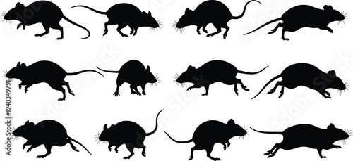 Rat silhouettes collection, different running rat poses set, black rodent animal shapes, isolated pest wildlife vector illustration pack