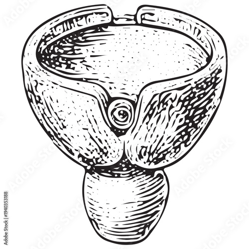 Urinary Bladder Anatomy Illustration – Human Urinary System Medical Engraved Drawing