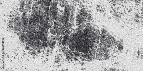 Close-up abstract monochrome texture resembling organic cellular structures or nebulae with a grainy surface and dark clustered formations against a lighter speckled background