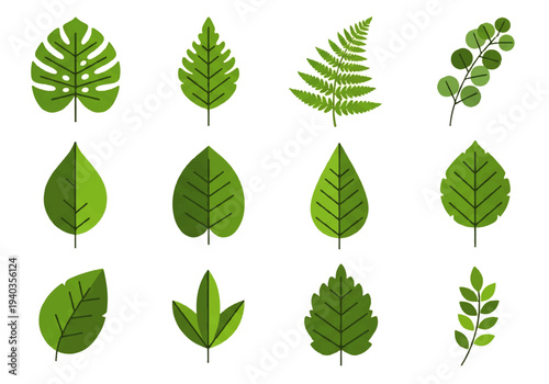 A flat design illustration vector featuring a diverse collection of green leaves in various shapes and sizes against a clean white background.