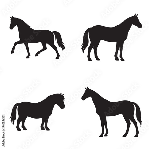 Set of Four Horse Silhouettes in Different Poses and Breeds on White Background