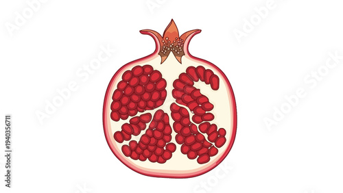 A vibrant red pomegranate cut open to reveal juicy arils, illustration, close-up view