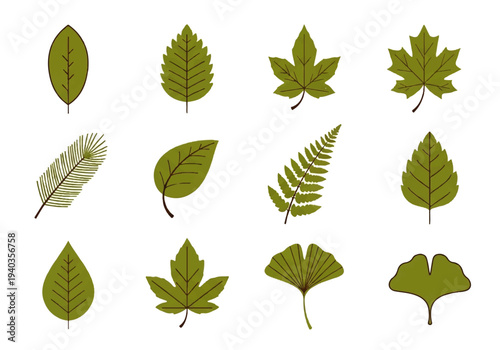 A flat design illustration vector featuring twelve different green leaves on a white background.