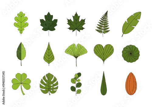 Flat design illustration vector of various green leaves on a white background.