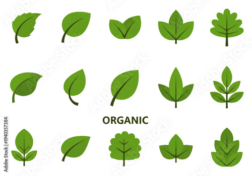 A flat design illustration vector of various green leaves arranged in rows on a white background with the word 'ORGANIC' in the center.