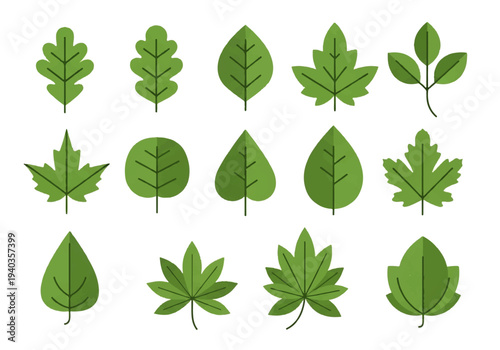 A collection of various green leaves in a flat design illustration vector style against a clean white background.