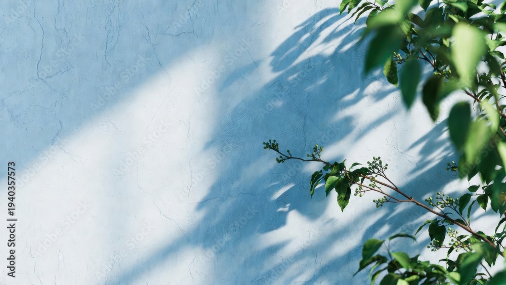 Fototapeta premium Soft sunlight casts leafy shadows on textured blue wall