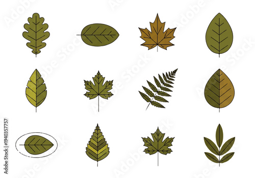 Flat design illustration vector of various green leaves on white background.