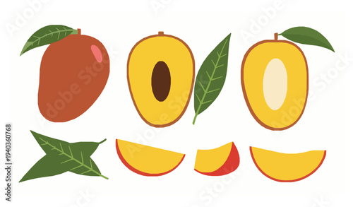 Mango Tropical Fruit Vector Illustration Set Whole and Sliced Mango EPS 10