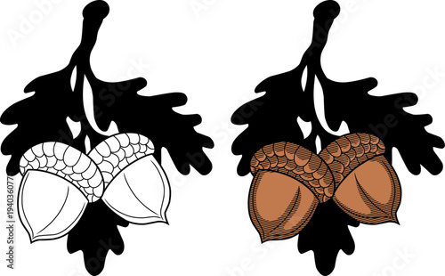 Stylized Oak Leaf and Acorn Illustration for Autumn Design,perfect for autumn-themed branding, harvest festivals, or nature-inspired graphic design projects.