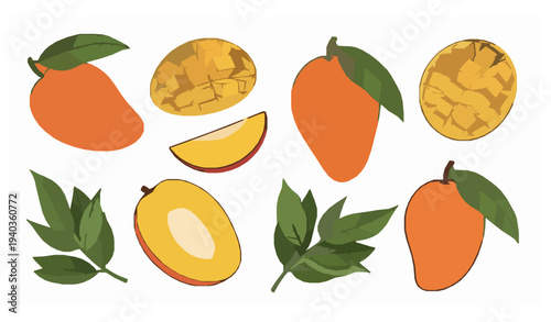 Tropical Mango Fruit Decorative Vector Elements Set for Pattern Design EPS 10