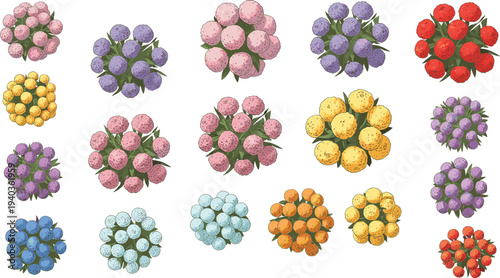 Collection of twenty colorful berry clusters with speckled texture and green leaves, arranged in grid pattern, botanical illustration for nature, food, and design themes