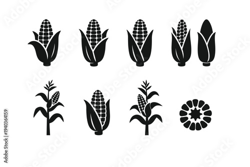 A vintage nature illustration featuring a seamless vector set of corn plants and trees designed with elegant line art, pen sketches, and decorative leaf patterns in a silhouette style