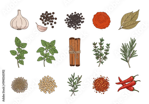 Set of Popular Kitchen Spices Used in American Cuisine Vector Art