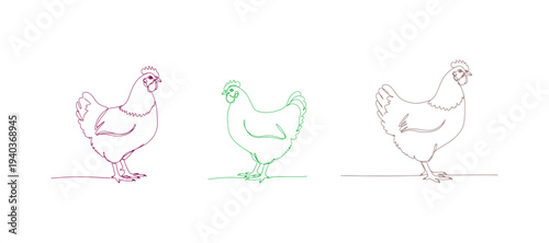 A hen depicted in a continuous line art style. A minimalist, colorful sketch of a chicken set against a white background. Vector illustration.