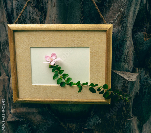 dark tone still life with wooden frame and flower on tree bark